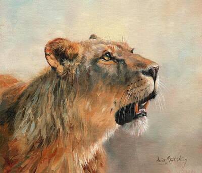 Monochrome Landscapes - Lioness Portrait 2 by David Stribbling