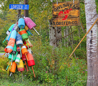 All American - Lobster Buoys by Jack Schultz