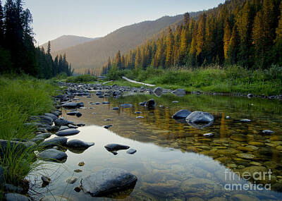 Stunning 1x - Lochsa Morning by Idaho Scenic Images Linda Lantzy