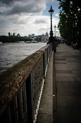 Frog Photography - London Thames River by Miguel Winterpacht