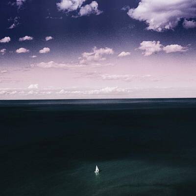 Fruit Photography - Lone Sail, Lake Ontario , Toronto, Canada 2 by Celestial Images