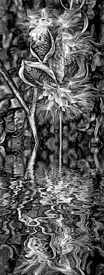 Florals Photos - Lord of the Dance - Paint - Reflection bw by Steve Harrington