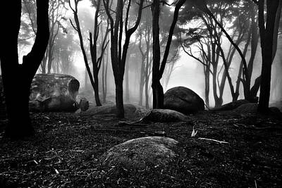 Landscapes Photos - Lost by Jorge Maia