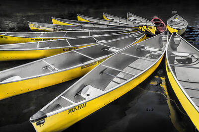 Randall Nyhof Royalty Free Images - Lost Lake Yellow Canoes Tethered in Whistler British Columbia Royalty-Free Image by Randall Nyhof