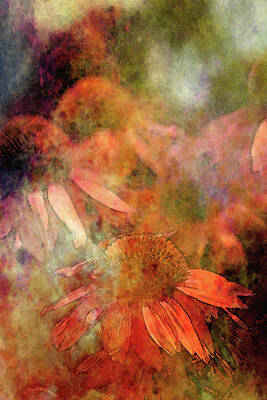 Swirling Patterns - Lost Watercolor Tangerine Coneflowers 3883 LW_2 by Steven Ward