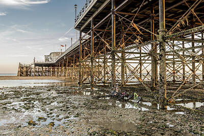Food And Beverage Royalty-Free and Rights-Managed Images - Low Tide Bike Park by Hazy Apple