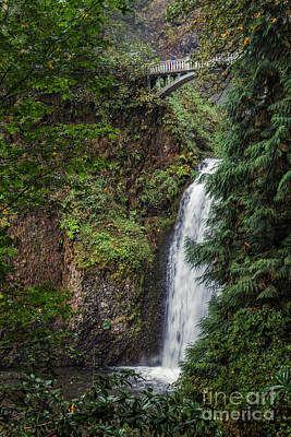 Grimm Fairy Tales Royalty Free Images - Lower Multnomah Falls Royalty-Free Image by Al Andersen