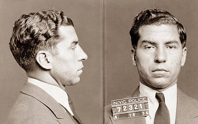 Portraits Royalty Free Images - Lucky Luciano Mugshot Royalty-Free Image by War Is Hell Store