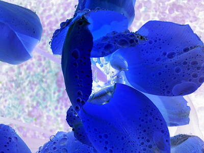 Orphelia Aristal Rights Managed Images - Magical Flower I Royalty-Free Image by Orphelia Aristal