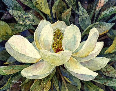 Royalty-Free and Rights-Managed Images - Magnolia Grandiflora by Hailey E Herrera