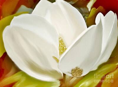 Juan Bosco Forest Animals - Magnolia Flower by Susan Garren