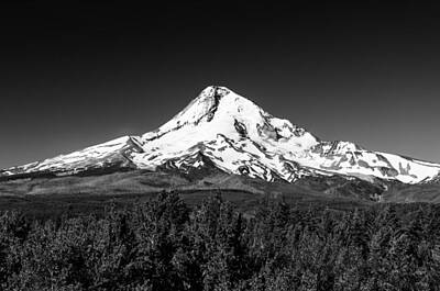 Mountain Photos - Majestic Mt Hood Black and White by Jess Kraft