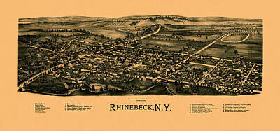 White Roses - Map Of Rhinebeck 1890 by Andrew Fare