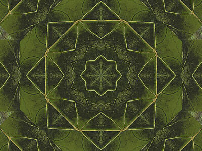 Jolly Old Saint Nick - Maple Leaf kaleidoscope by Thomas MacPherson Jr