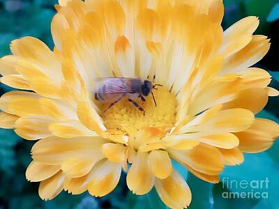 Ocean Diving - Marigold And Bee by Mioara Andritoiu