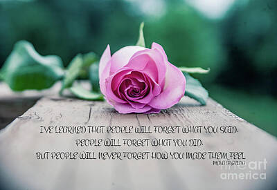 Recently Sold - Roses Digital Art - Maya Angelou Quote and Rose by Chellie Bock