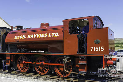 Colorful Abstract Animals - Mech Navvies Ltd 71515 by Steve Purnell