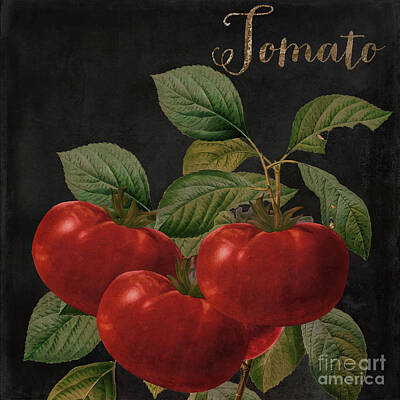 Food And Beverage Paintings - Medley Tomato by Mindy Sommers