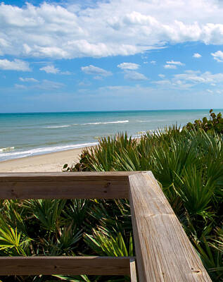 Green Grass Royalty Free Images - Melbourne Beach In Florida Royalty-Free Image by Allan  Hughes