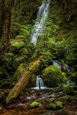 Water Droplets Sharon Johnstone - Merriman Falls 30 by Mike Penney