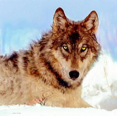 Animals Paintings - Mexican Wolf Painting by Bob and Nadine Johnston