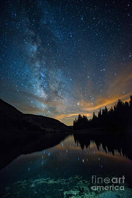 Winter Animals - Milky Way in the Sierra by Dianne Phelps