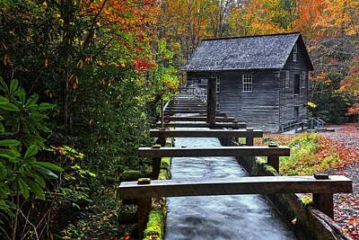 Animal Portraits - Mingus Mill During Fall In The Great Smoky Mountain National Park by Carol Montoya