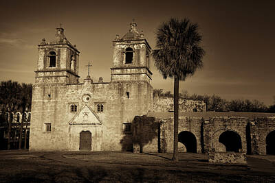 Abstract Animalia - Mission Concepcion -- Sepia by Stephen Stookey
