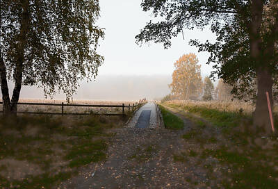 Bear Photography - Mist over path by Leif Sohlman