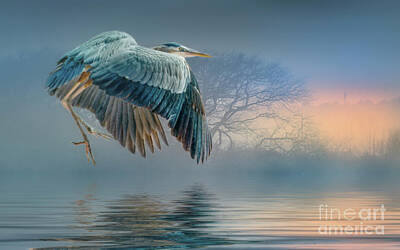 Woodland Animals - Misty Dawn Heron by Brian Tarr