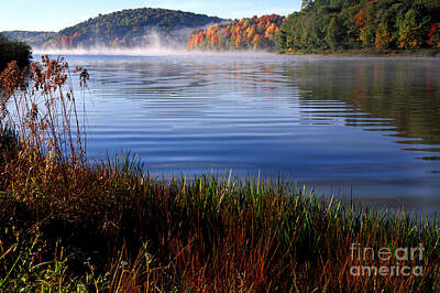 Shades Of Gray - Misty Fall Morning Big Ditch Lake by Thomas R Fletcher