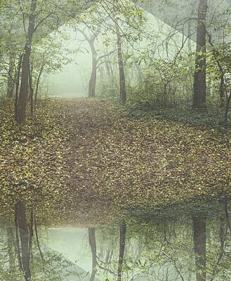 Landscapes Mixed Media Royalty Free Images - Misty Forest Royalty-Free Image by Thubakabra