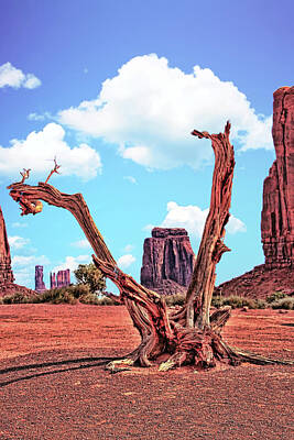 Cactus - Monument Valley 37 - North Window # 2 by Allen Beatty