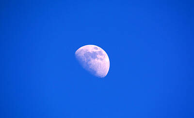Irish Leprechauns - Moon Shot by Linda Kerkau