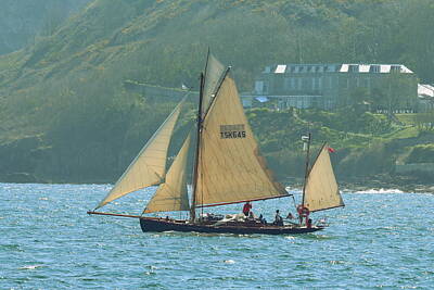 Shark Art Rights Managed Images - Moosk passing Berry Head Hotel Royalty-Free Image by Tom Wade-West