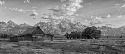 Holiday Cookies - Mormon Row Farm in Black and White by Andres Leon