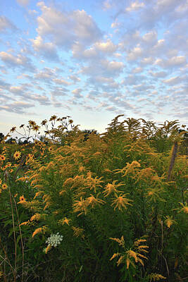 Female Outdoors - Morning Clouds over Kishwaukee Headwaters by Ray Mathis