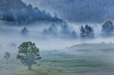 Wine Down Rights Managed Images - Mountain Fog Royalty-Free Image by James Woody