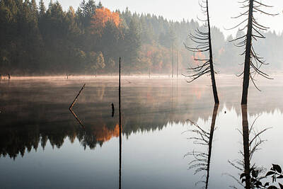 Joe Hamilton Nfl Football Wood Art - Morning Mist On A Quiet Lake by Claude Dalley