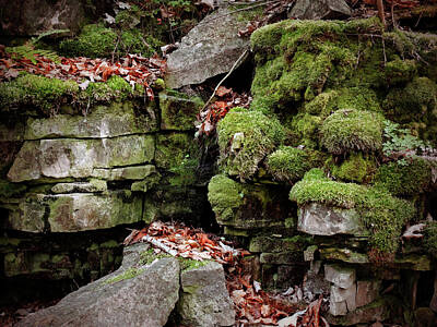 Anchor Down - Moss-Covered Rock by David T Wilkinson