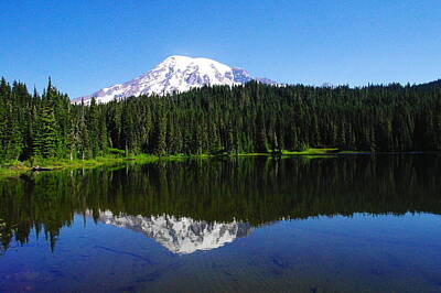 Birds Royalty-Free and Rights-Managed Images - Mount Rainer reflecting into Reflection lake by Jeff Swan