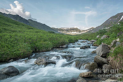 Mountain Royalty-Free and Rights-Managed Images - Mountain Alaskan Stream by Paul Quinn