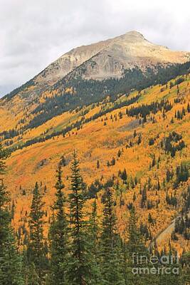 Renoir Rights Managed Images - Mountain Contrasts 3 Royalty-Free Image by Tonya Hance