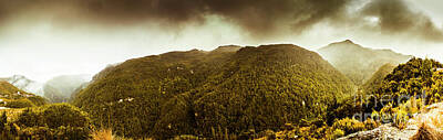 Mountain Royalty-Free and Rights-Managed Images - Mountain of trees by Jorgo Photography
