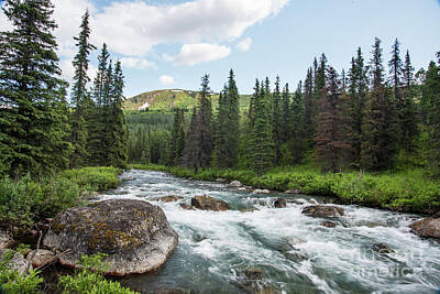 Mountain Royalty-Free and Rights-Managed Images - Mountain Stream by Paul Quinn