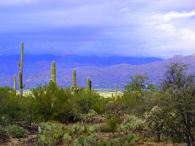 Classic Golf - Mountains and Saguaros by Teresa Stallings