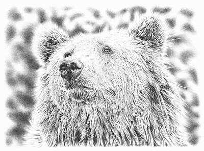 Animals Drawings - Mr. Bear by Casey 