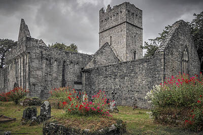 Ingredients Rights Managed Images - Muckross Abbey - Killarney - County Kerry - Ireland Royalty-Free Image by Tony Crehan
