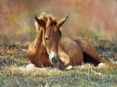 Wild Horse Paintings Royalty Free Images - Nap Time Royalty-Free Image by Trula Walker