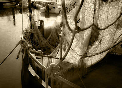 Colorful Abstract Animals - Nautical Dreams in Sepia by Bonnie Follett